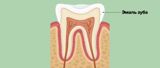 Tooth enamel in pictures