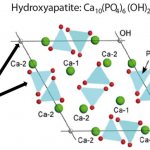 Calcium hydroxyapatite formula