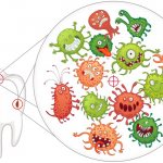 Кариесогенные микробы