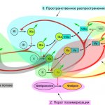 Модульная структура системы свертывания