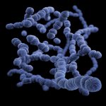 Microflora imbalance is the cause of diarrhea after antibiotics - photo