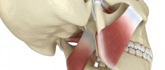 Basics of clinical gnathology