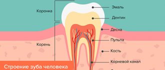 Tooth structure